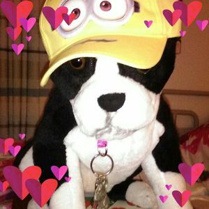 Meet your Posher, Donna